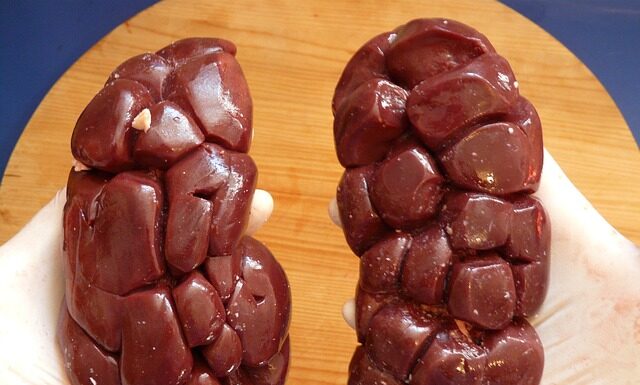 Czy nerka to obciach?