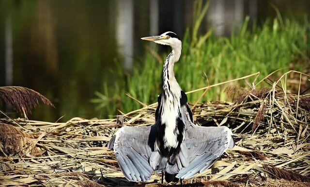 Czy można suszyć kurtki w suszarce?