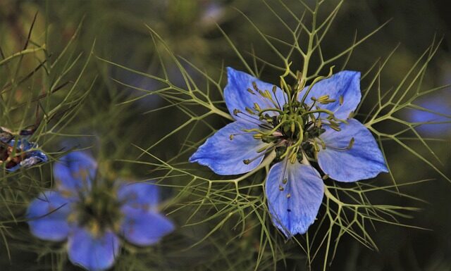 Jakie buty i żakiet do zielonej sukienki?