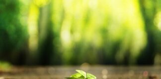 Jaki krawat na własny ślub?