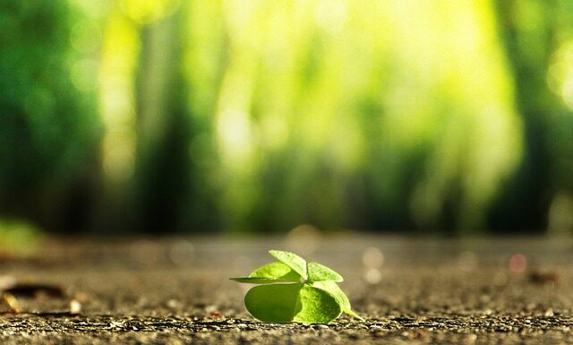 Jaki krawat na własny ślub?