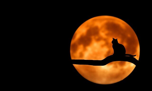 Czy domowe maseczki są skuteczne?