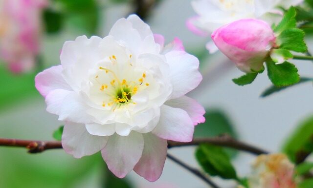 Ile jest rodzajów majtek?