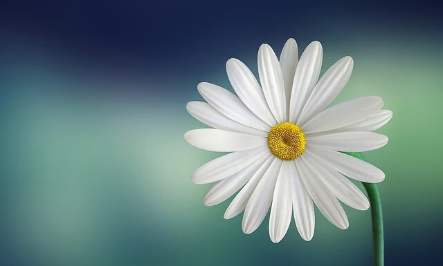 Co założyć pod białą prześwitującą koszulę?