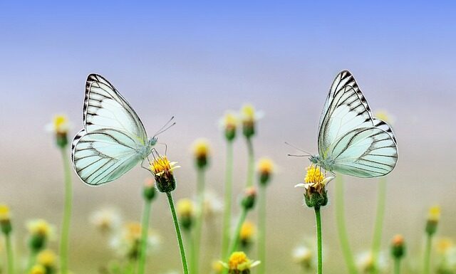 Co zamiast kurtki na wiosnę?