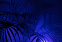 Jakie legginsy Pogrubiają?