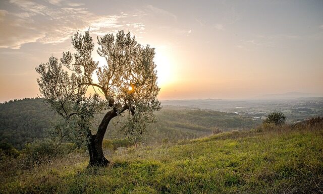 Jak ładnie podać drugie danie?