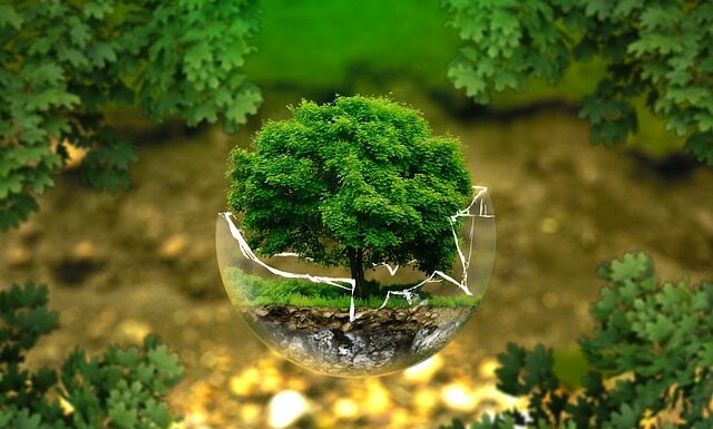 Czego życzyć na nowej drodze życia?