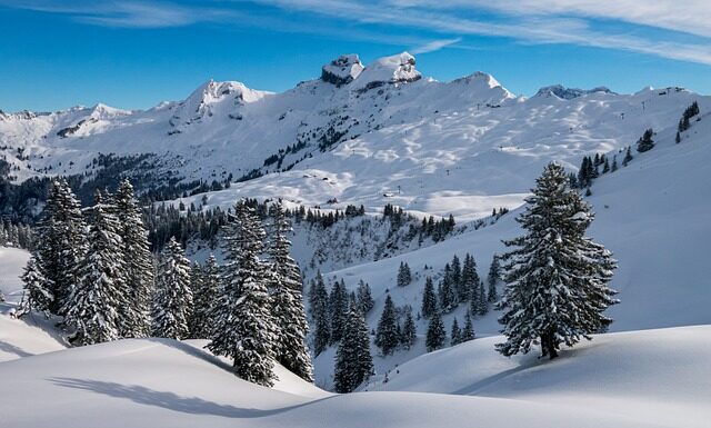 Czy da się uratować zbity puch w kurtce?