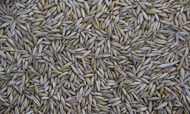 Kto produkuje zegarki Casio? Kto produkuje zegarki Casio?