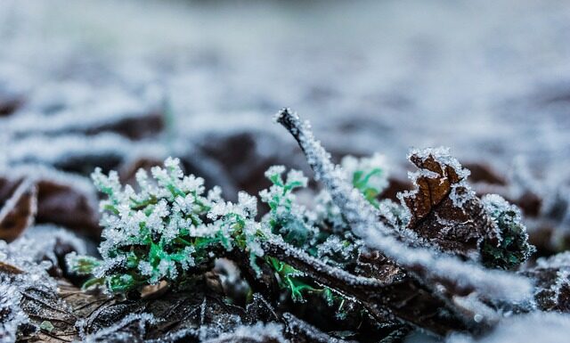 Jak sprawdzić czy człowiek jest napromieniowany?