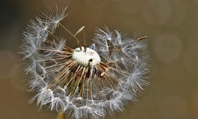 Co założyć do zwiewnej sukienki?