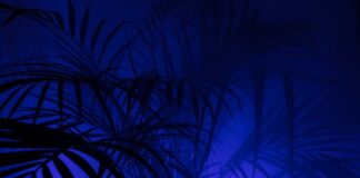 Czy Prążkowane legginsy Pogrubiają?