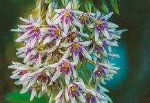 Czy kozaki muszą być dopasowane?