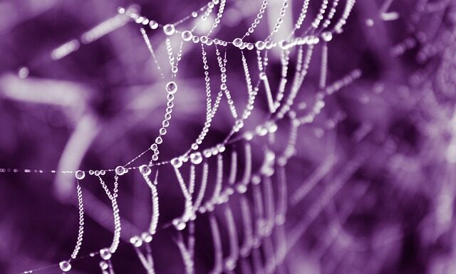 Jak odróżnić oryginalną torebkę Chanel? Jak odróżnić oryginalną torebkę Chanel?