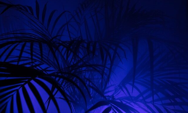 Czy warto kupić legginsy Gym glamour? Czy warto kupić legginsy Gym glamour?