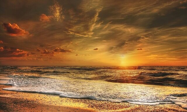 Jakie dania na wesele w domu?