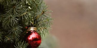 Jak udekorować talerz z jedzeniem?