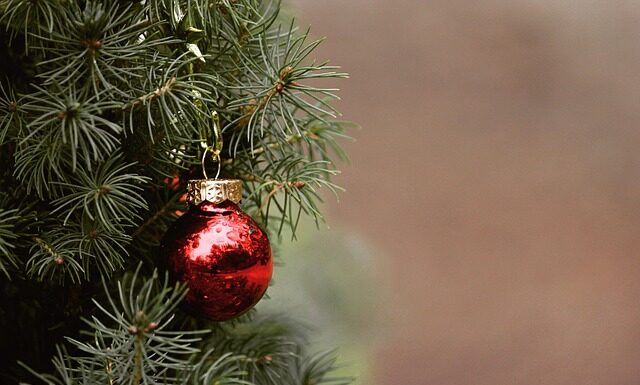 Jak udekorować talerz z jedzeniem? Jak udekorować talerz z jedzeniem?