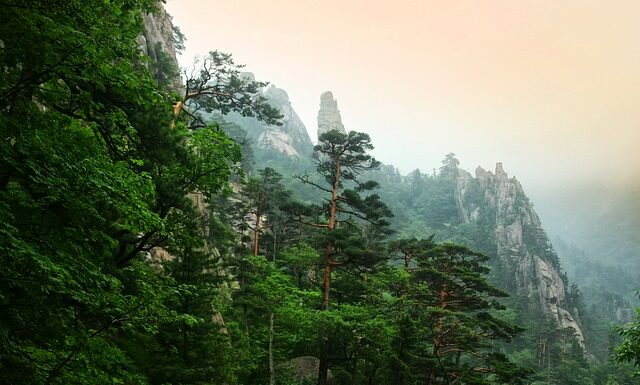 Co napisać w dedykacji w książce?
