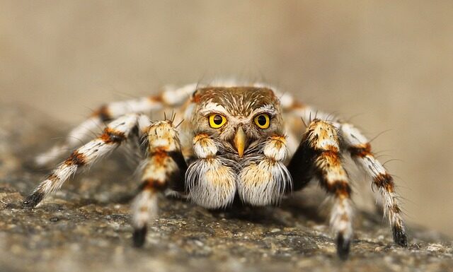 Po czym poznać podróbkę Calvin Klein?